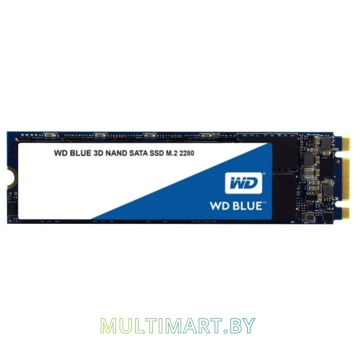 SSD диск WD Blue 3D NAND 1TB (WDS100T2B0B)